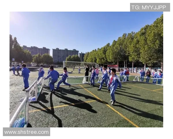 瑞士与日本足球比赛场地分析及观赛体验分享