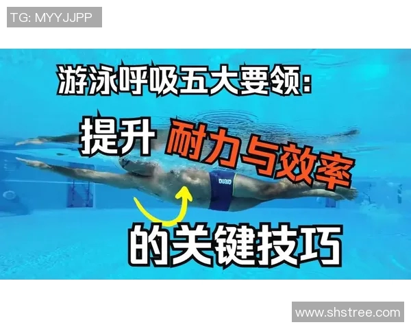 探索游泳动作的技巧与训练方法 提升水中运动表现的关键要素