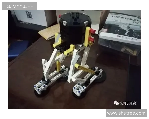 步行者视角：探索城市步行空间设计与步态行为的创新融合