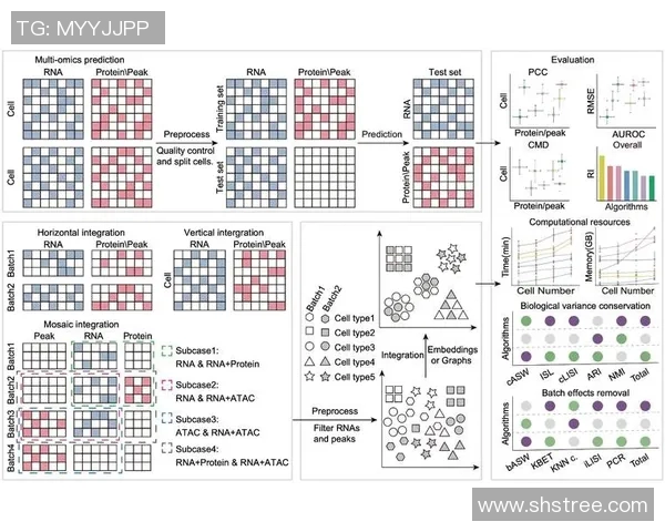 JDG在世界冠军杯中的团队配合分析与表现评估 JDG在世界冠军杯中的团队配合分析与表现评估