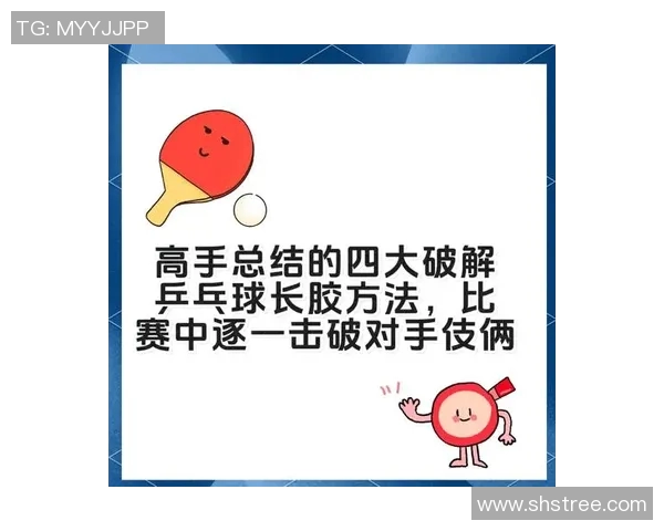 从零开始掌握乒乓球战术技巧全解析助你成为乒乓高手