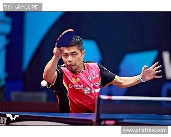 杭州乒乓球队状态飙升创历史新高引发广泛关注与期待 杭州乒乓球队状态飙升创历史新高引发广泛关注与期待