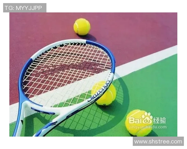 全面提升网球技术的训练方法与实战技巧解析