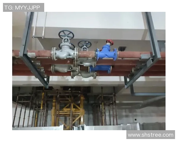 水管阀门的种类、功能及安装维护全解析，确保家庭水路安全畅通