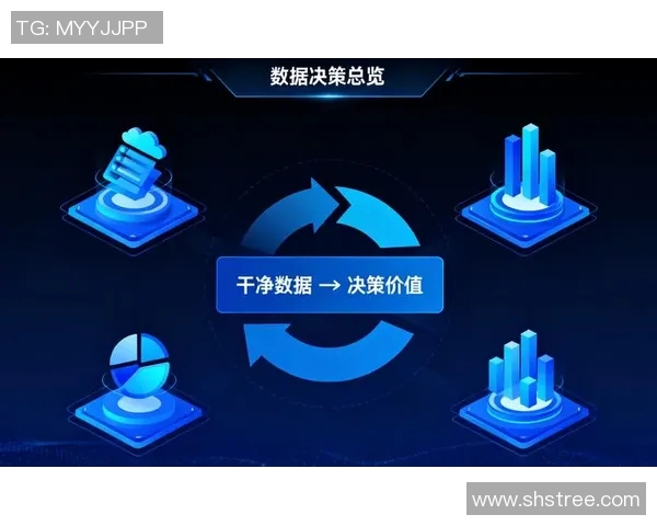 深入探讨V5在数据分析中的速度表现与优化策略