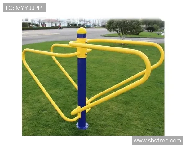 老年人的家庭健身器材精选安全健康为主