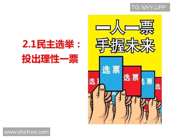 选举制度改革与民主发展的关系探析:从选举公平性到选民参与度的全面考量