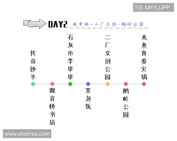 重庆篮球队的控制革新探索与发展路径分析