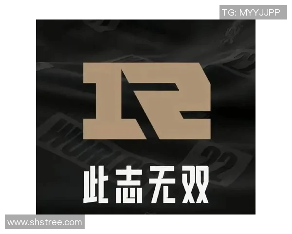 RNG转型之路的纪实探索与荣耀重塑之旅 RNG转型之路的纪实探索与荣耀重塑之旅