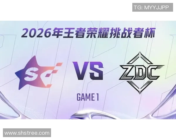 挑战者杯特别报道:TES团队的拼搏历程与荣耀时刻回顾 挑战者杯特别报道:TES团队的拼搏历程与荣耀时刻回顾